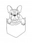 Herren-Shirt mit Französische Bulldogge Hunde-Motiv von AchDuDickerHund